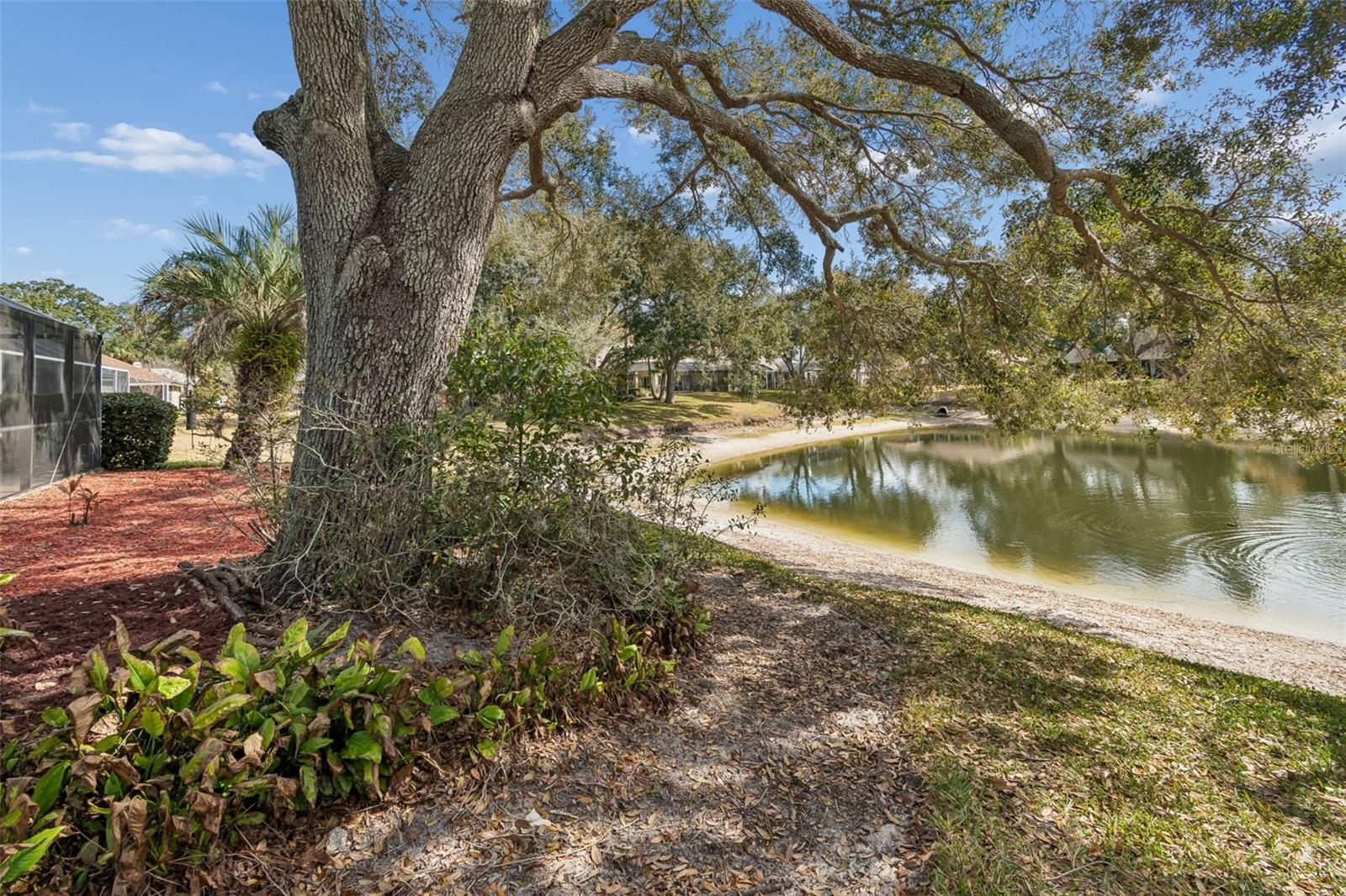 CHAPMAN MANORS - Residential