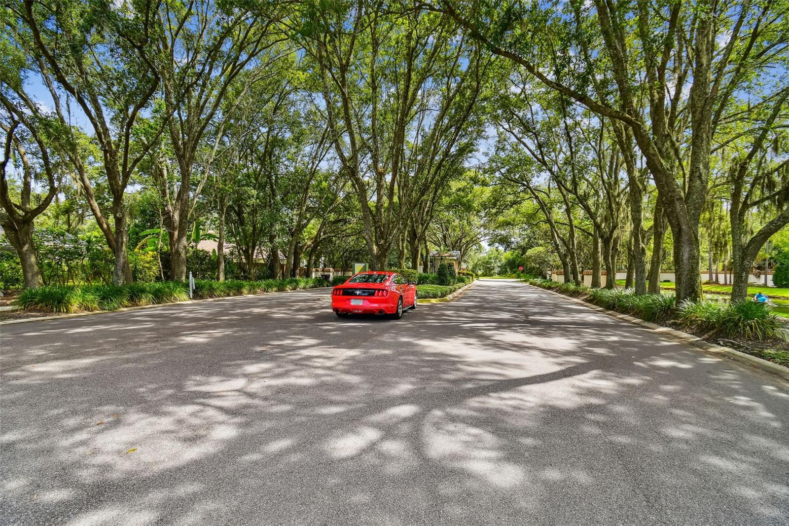 CHAPMAN MANORS - Residential