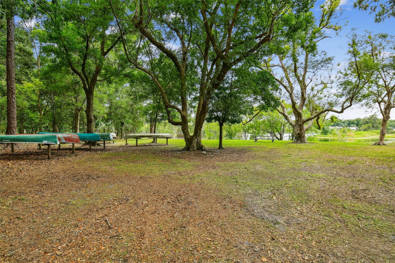 CHAPMAN MANORS - Residential