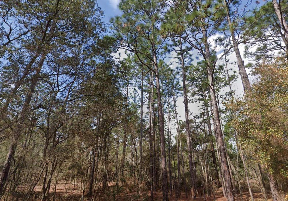 LAKE LUCY MANOR - Land