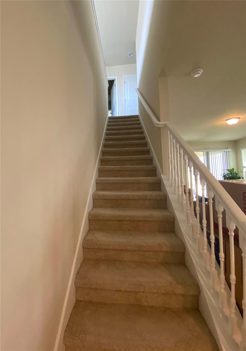 9969 TAWNY MEADOW ALLEY