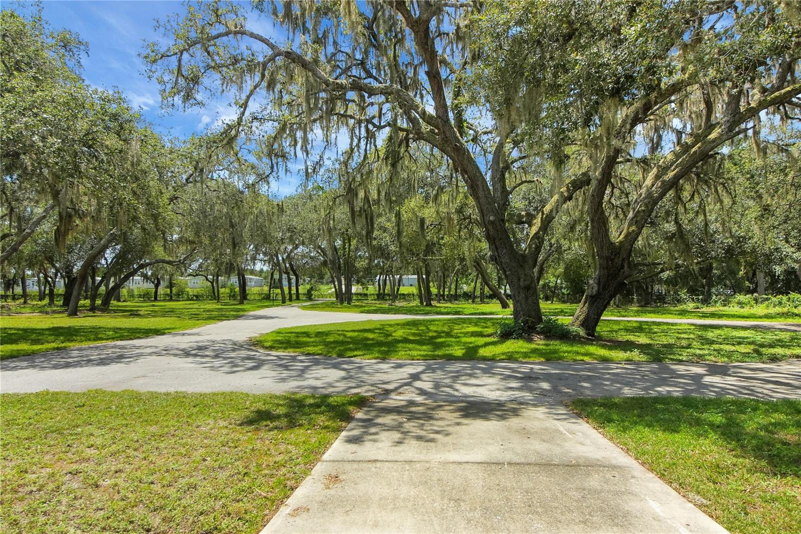 CATHEDRAL ARCH ESTATES - Residential