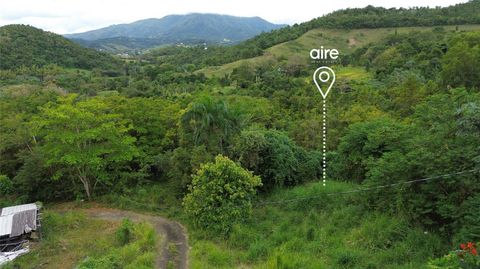 Lot 7 Km 61 PR-3 Int DAGUAO WARD CEIBA 00735