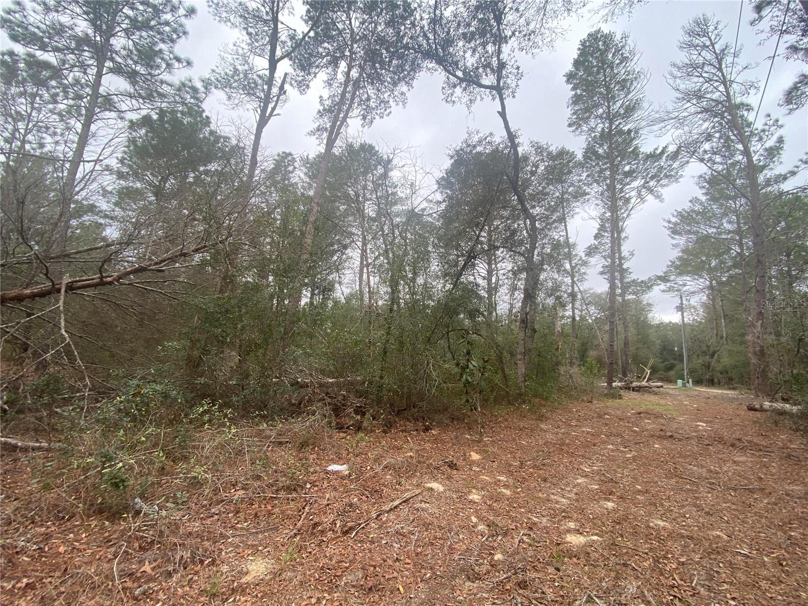 FLORIDA HLNDS - Land