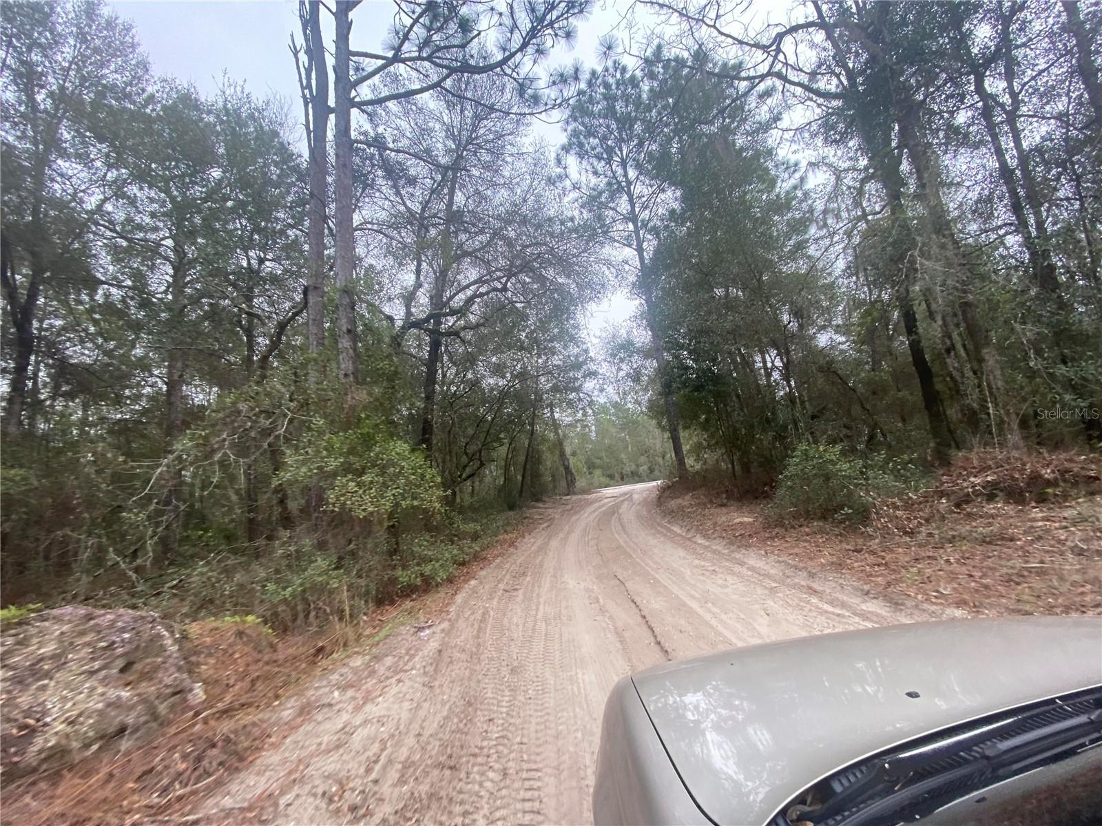 FLORIDA HLNDS - Land