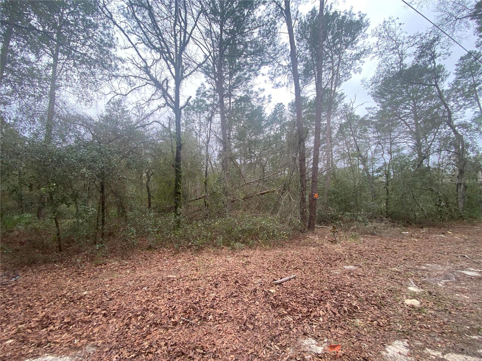 FLORIDA HLNDS - Land