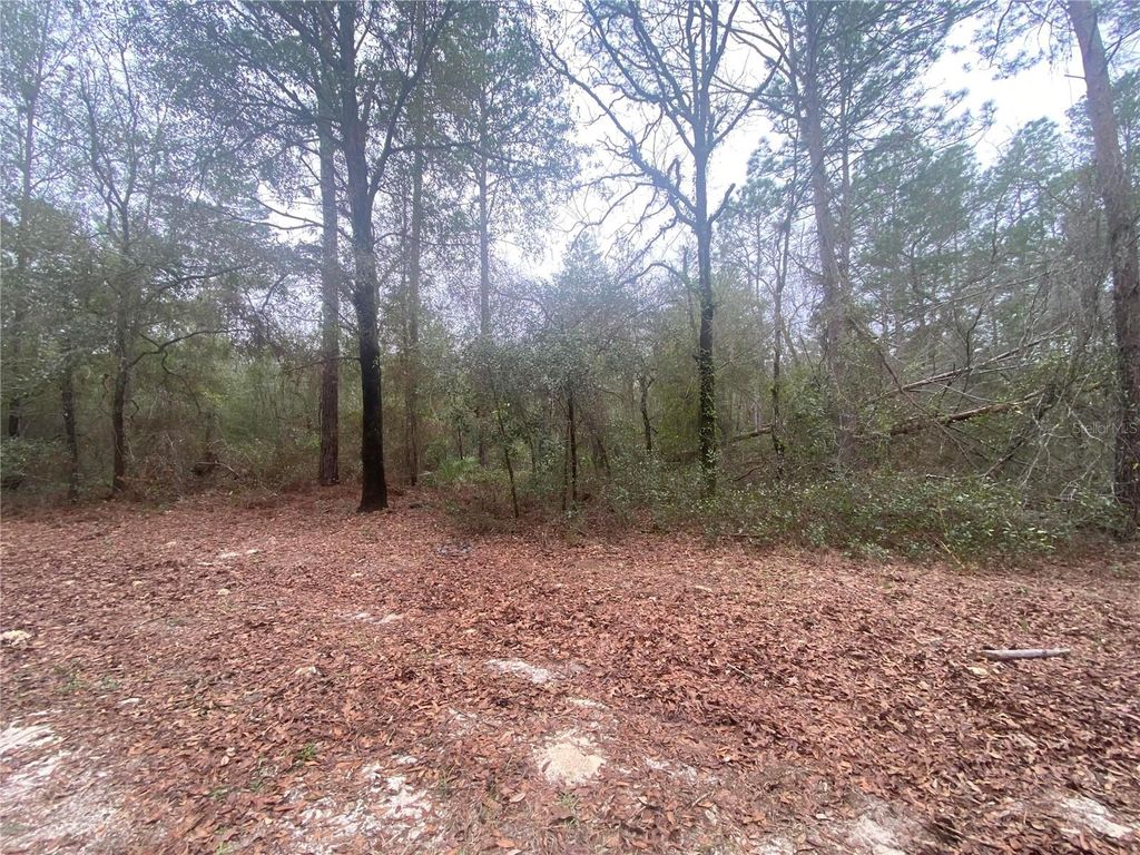 Photo of SW 156th Place #0, Dunnellon, FL 34432 (MLS # O6396524)