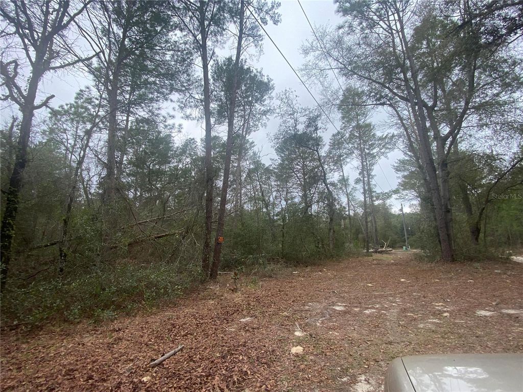 Photo of SW 156th Place #0, Dunnellon, FL 34432 (MLS # O6396524)