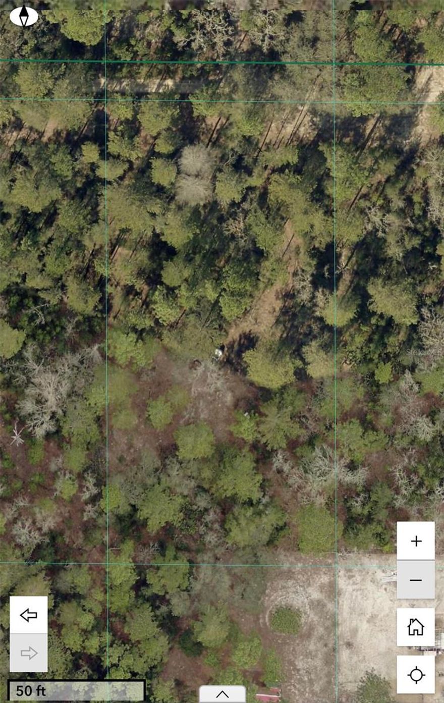 This 1.25 acre lot allows for versatility to add the home you truly want. With options like site-built, manufactured, or mobile homes, you can ensure you’re not going to buy something that limits you when it comes time for you to make that final decision. This property also allows for up to two homes! Build your home, and then build a guest house (or bring your mobile home) and still have more space than the typical HOA home.
This property is for those who want some space, maybe for a garden, a mini farm, 20 dogs, whatever your heart desires.
There’s no HOA and no CDD!

You're looking at a personal listing, not a flip. An entrance and exit for a truck has been cleared as well as some space in the center. Video walkthrough of the property available! I had plans to build here and my life plans changed but during my ownership my use of this property was just to get away from the fast life and doing some camping on weekends before going to the springs, then waking up and enjoying a good campfire with family and friends.

There is a Survey and the property lines were cleared so you can see where the property boundaries lie. There are rear neighbors and they have a fence, and there is one new home that was recently added on one side and currently listed for sale. Electric is at the front of the property and a well and septic would be needed.
The property is actually close to the border of Ocala. Being just 1 to 2 minutes from the paved roads of Ocala’s Marion Oaks neighborhood, this property boasts easy access to all of Marion Oak’s shopping conveniences. With quick access to main roads like SR200 and I-75, you can be assured that getting anywhere will be simple.
The area keeps improving and expanding, but you can still comfortably enjoy the benefits of the quiet country and the up and coming businesses and job opportunities to come. Don't wait too long, there's less undeveloped land where you want it every single day.