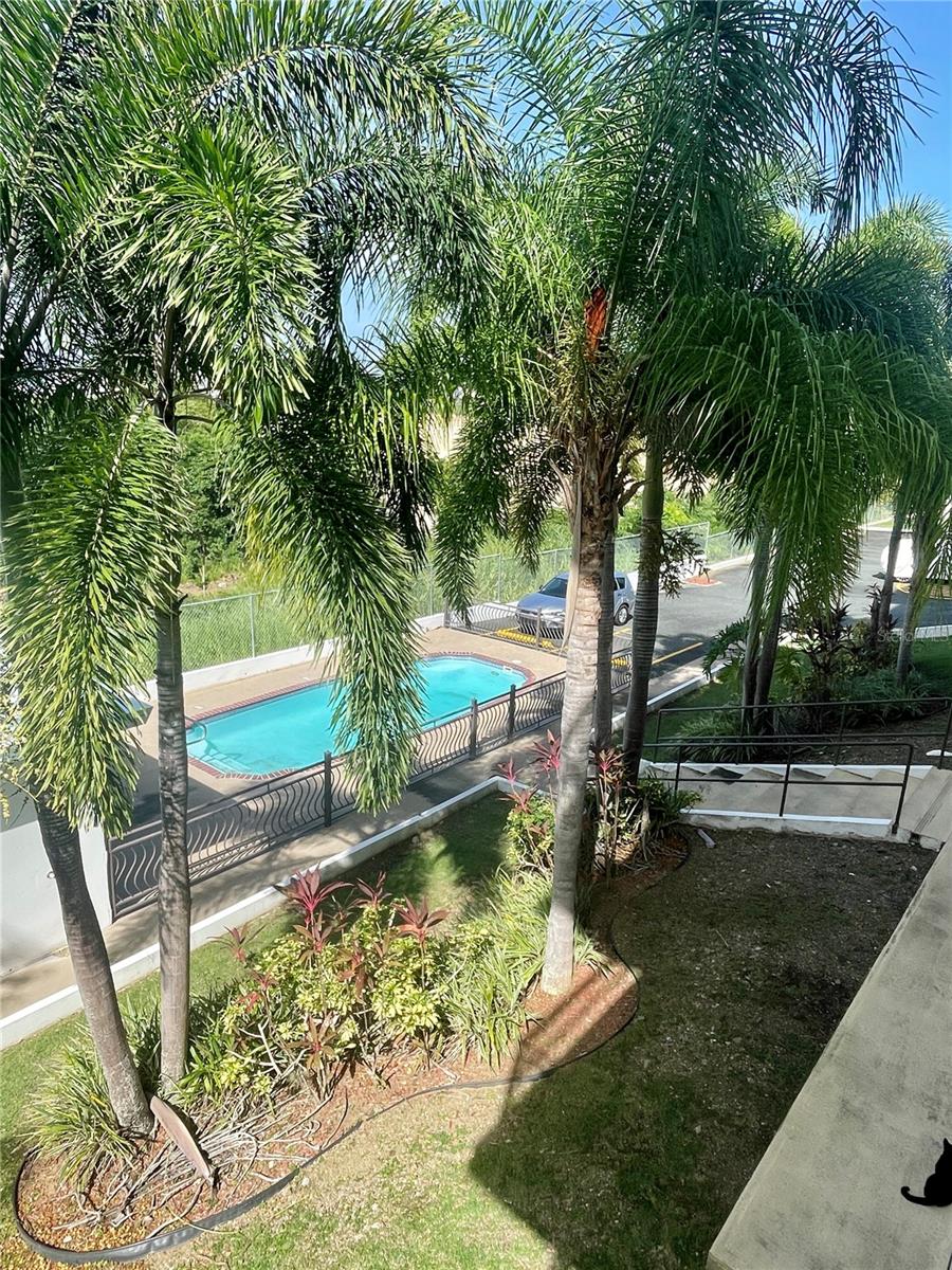 POINCIANA AT RINCON - Residential