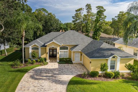 A home in OLDSMAR