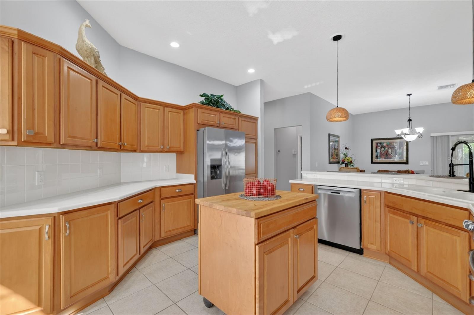 THE VILLAGES - Residential