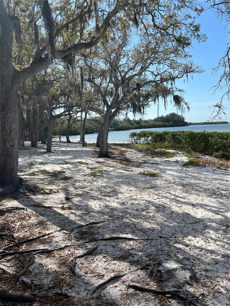 TAMPASHORES BAY SEC - Residential