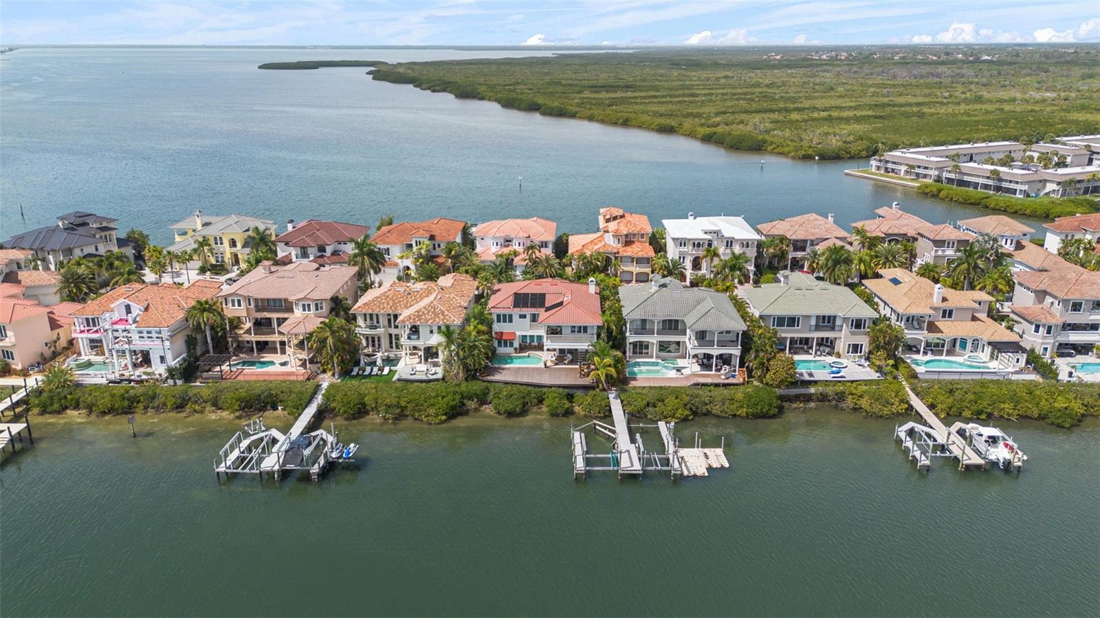 THE RESERVE OF OLD TAMPA BAY - Residential