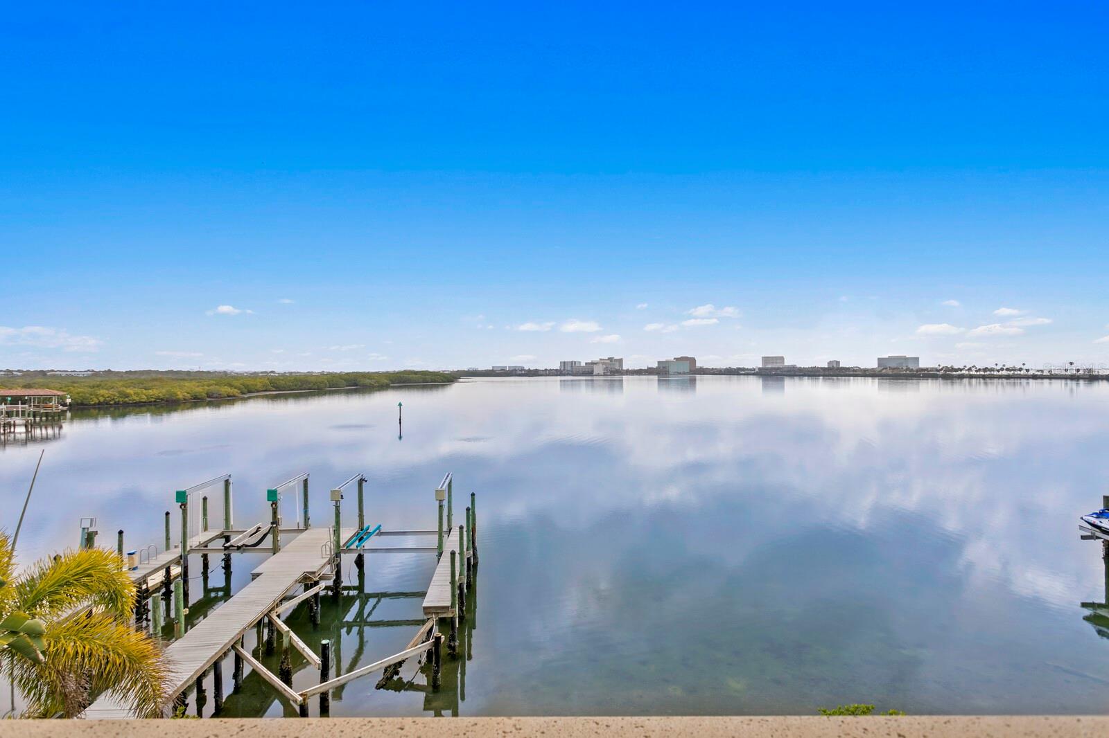 THE RESERVE OF OLD TAMPA BAY - Residential