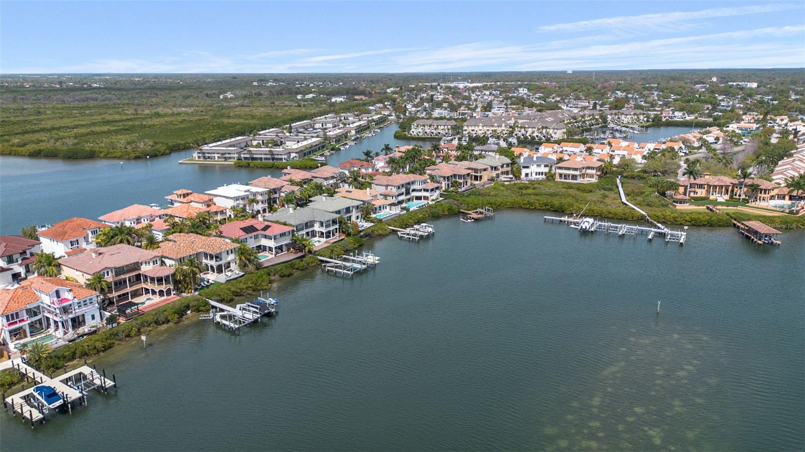 THE RESERVE OF OLD TAMPA BAY - Residential