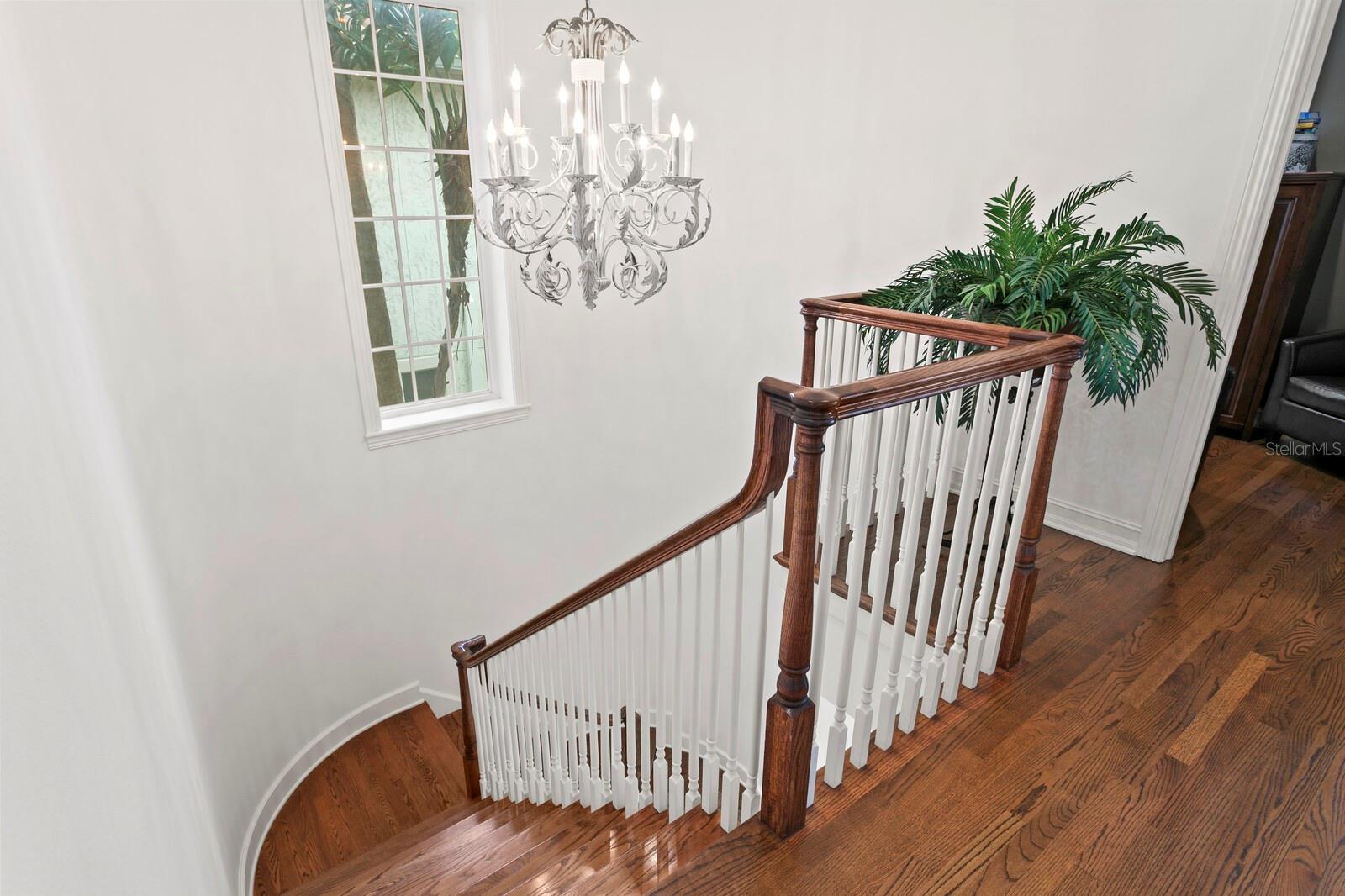 THE RESERVE OF OLD TAMPA BAY - Residential