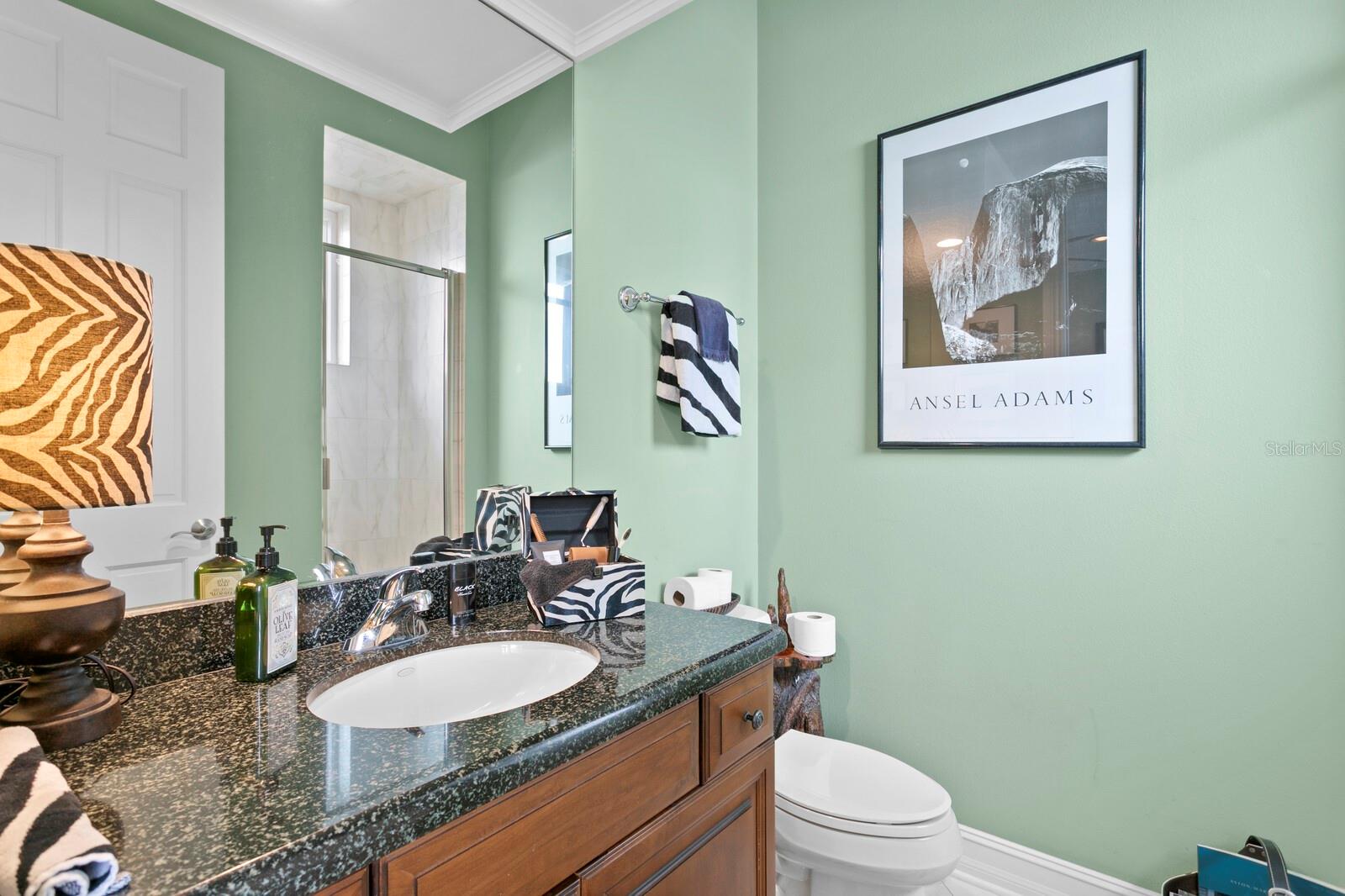 THE RESERVE OF OLD TAMPA BAY - Residential