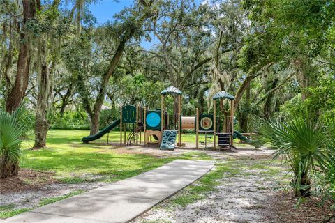 A home in LITHIA