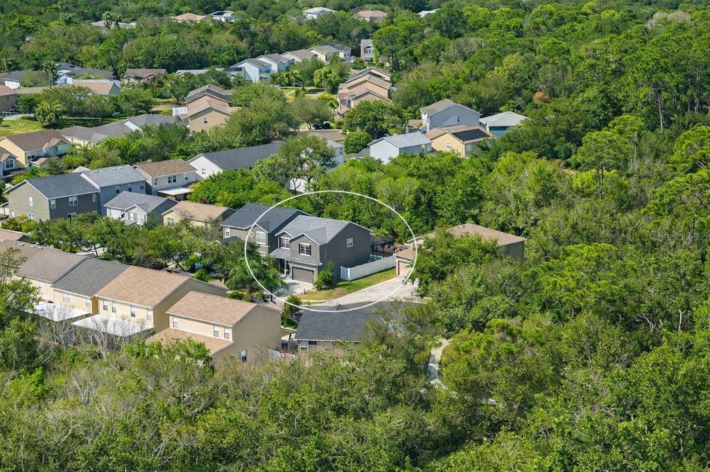 Photo of 12507 Bay Branch Court, Tampa, FL 33635 (MLS # FC316383)