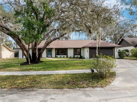 Photo of 2506 College Hill Drive, Brandon, FL 33511 (MLS # TB8464282)