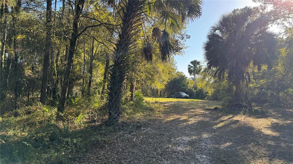 Photo of 17221 SE 95th Street Road, Ocklawaha, FL 32179 (MLS # O6384490)