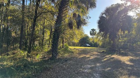 Photo of 17221 SE 95th Street Road, Ocklawaha, FL 32179 (MLS # O6384490)