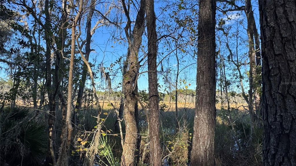 Photo of 17221 SE 95th Street Road, Ocklawaha, FL 32179 (MLS # O6384490)