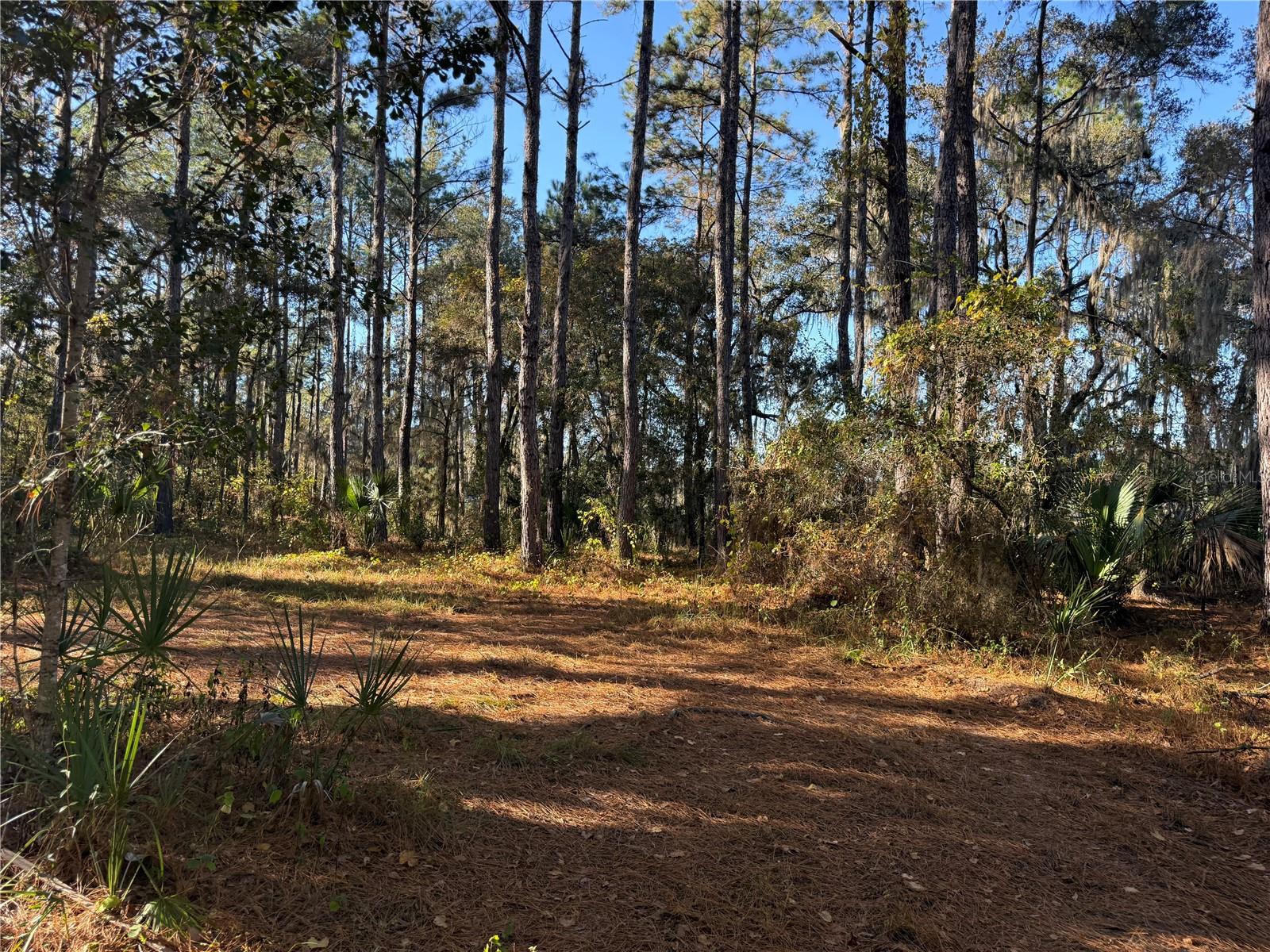 OCKLAWAHA - Residential