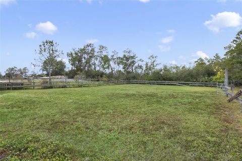 A home in DELTONA