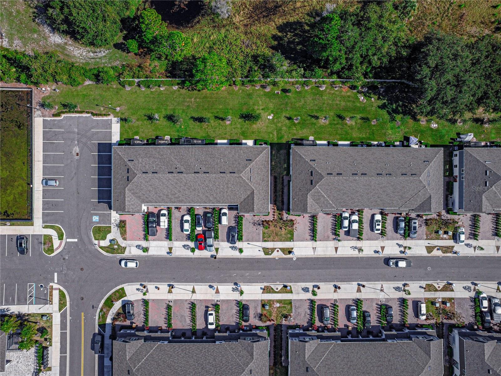 TOWNS AT NARCOOSSEE COMMONS - Residential Lease