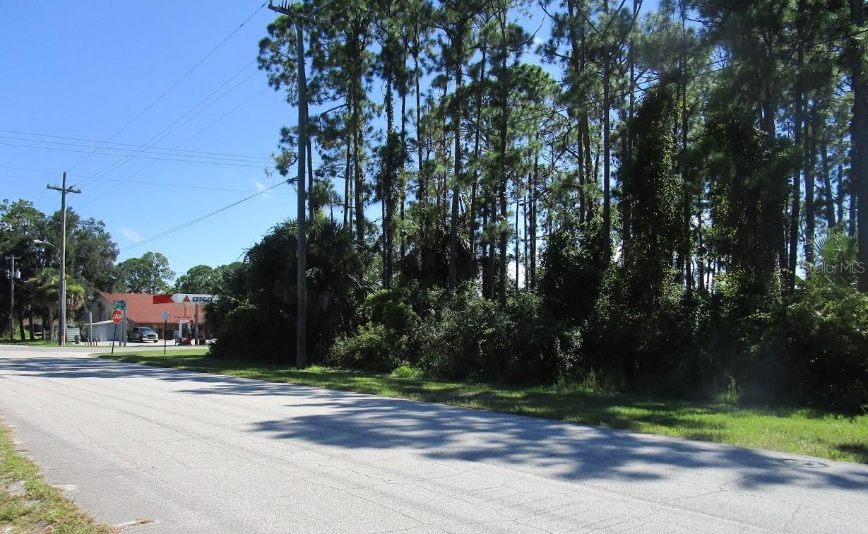 Florida Shores 08 Rev - Land