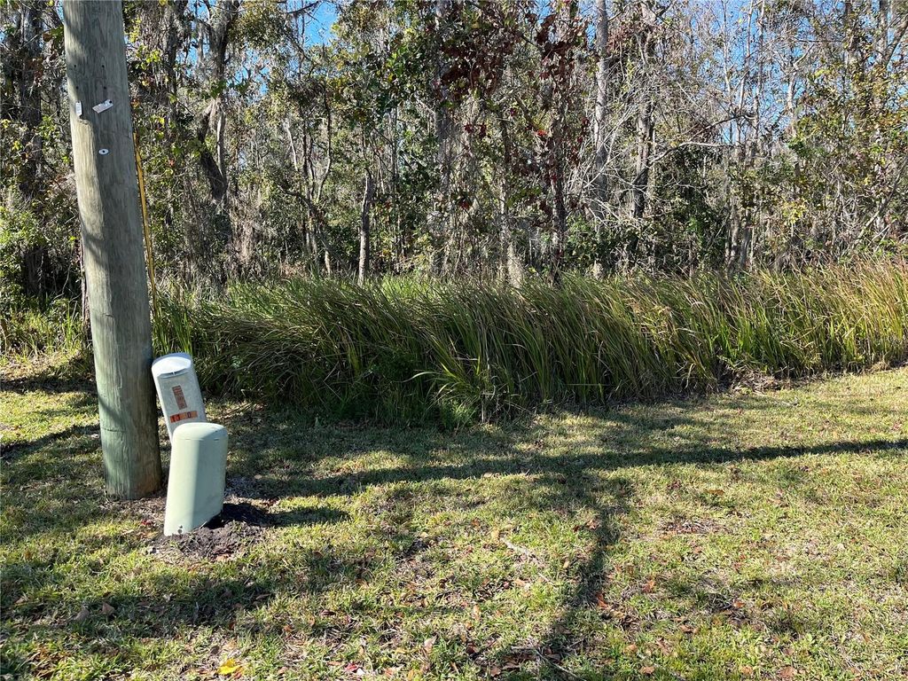 Photo of 11503 Donneymor Drive, Riverview, FL 33569 (MLS # R4908785)