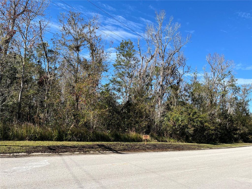 Photo of 11503 Donneymor Drive, Riverview, FL 33569 (MLS # R4908785)