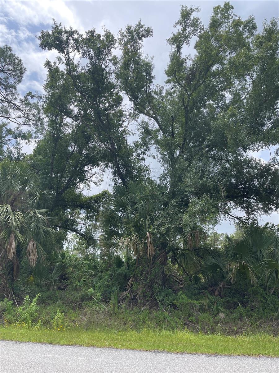 This vacant lot is located in a quiet, peaceful area but very near many local amenities such as shopping centers, dining, great schools and is surrounded with great parks, boating and about 30 minutes from great beaches. Nearby is the historical Warm Mineral Springs and the Atlanta Braves Florida home. North Port has quality builders with very nice model homes that can be toured or use one you have chosen..You will not be disappointed in this lot or location..There is an additional lot alongside this one: C7511936