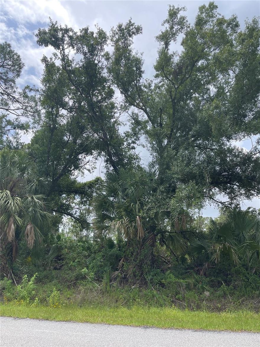 This vacant lot is located in a quiet, peaceful area but very near many local amenities such as shopping centers, dining, great schools and is surrounded with great parks, boating and about 30 minutes from great beaches. Nearby is the historical Warm Mineral Springs and the Atlanta Braves Florida home. North Port has quality builders with very nice model homes that can be toured or use one you have chosen..You will not be disappointed in this lot or location..There is an additional lot alongside this one: C7511936