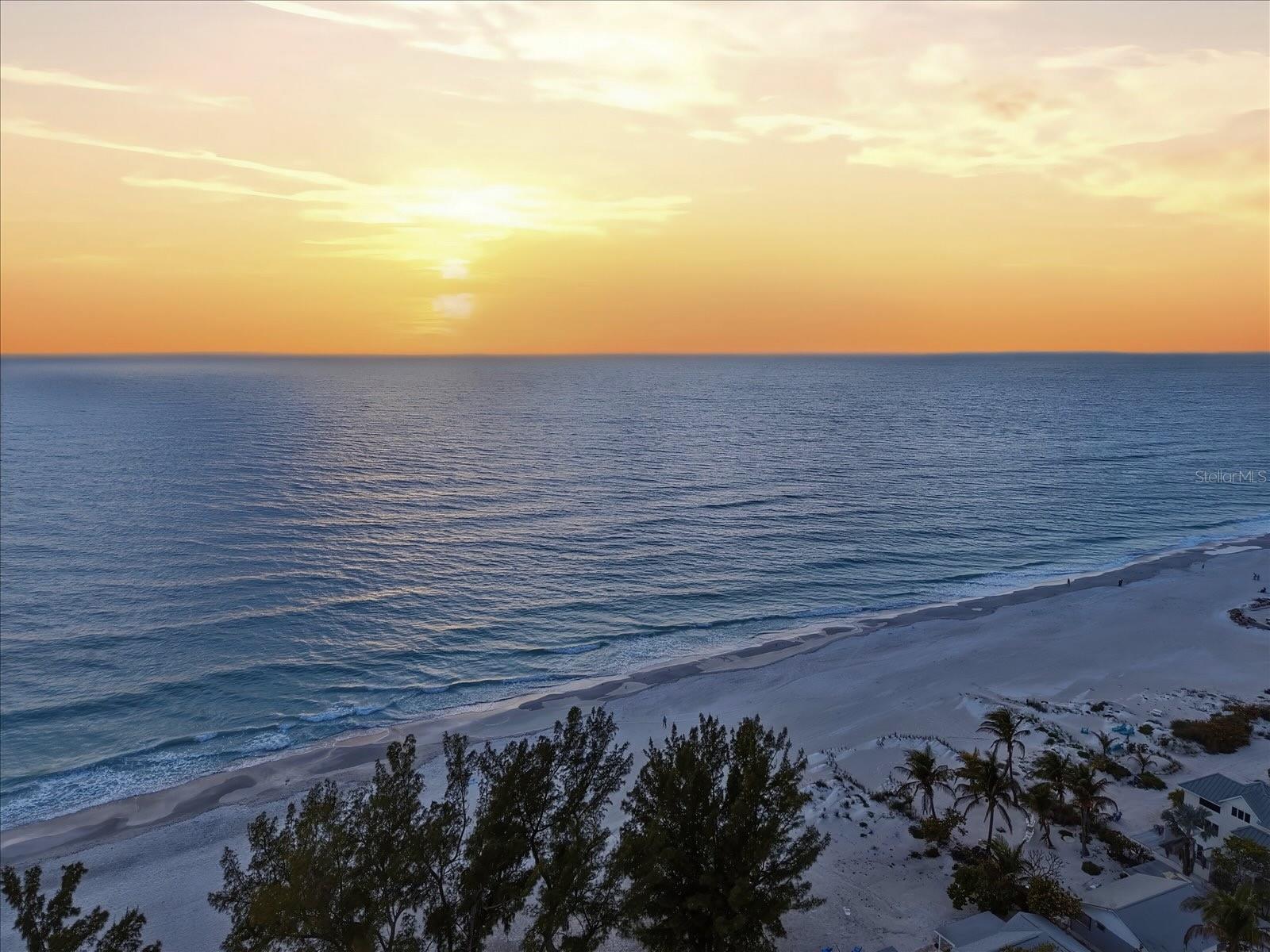 ILEXHURST - Residential