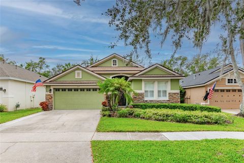 A home in LITHIA