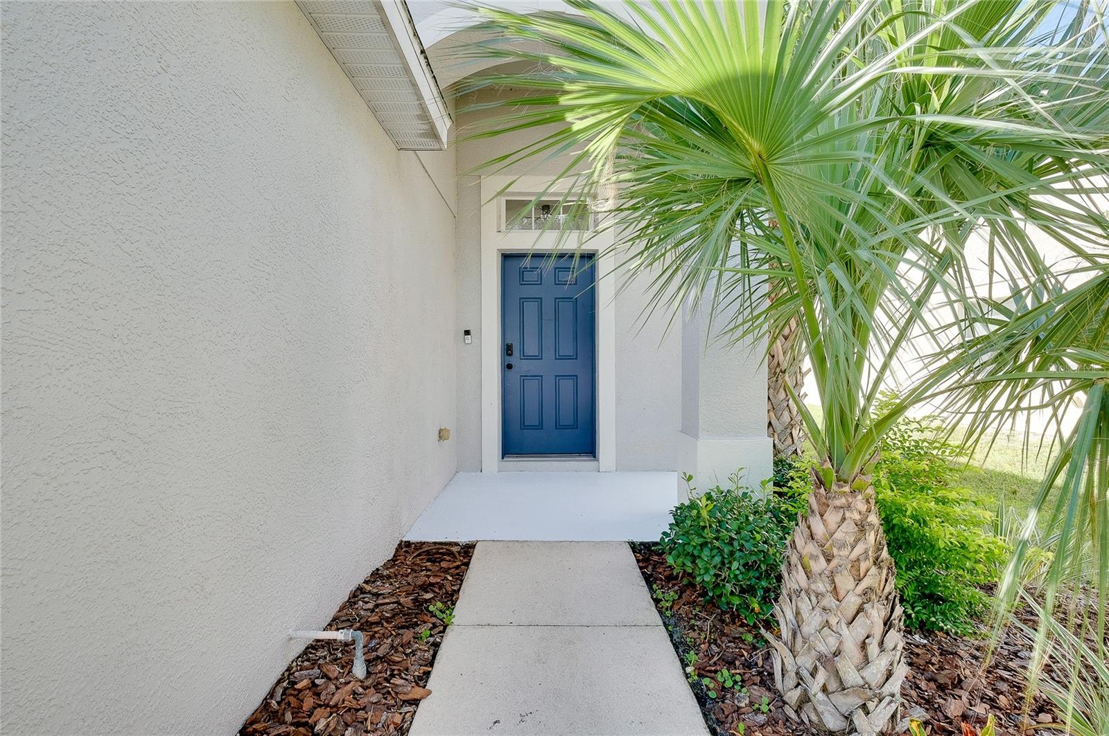 15328 SKIP JACK LOOP