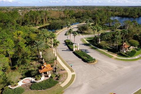 A home in PALM COAST