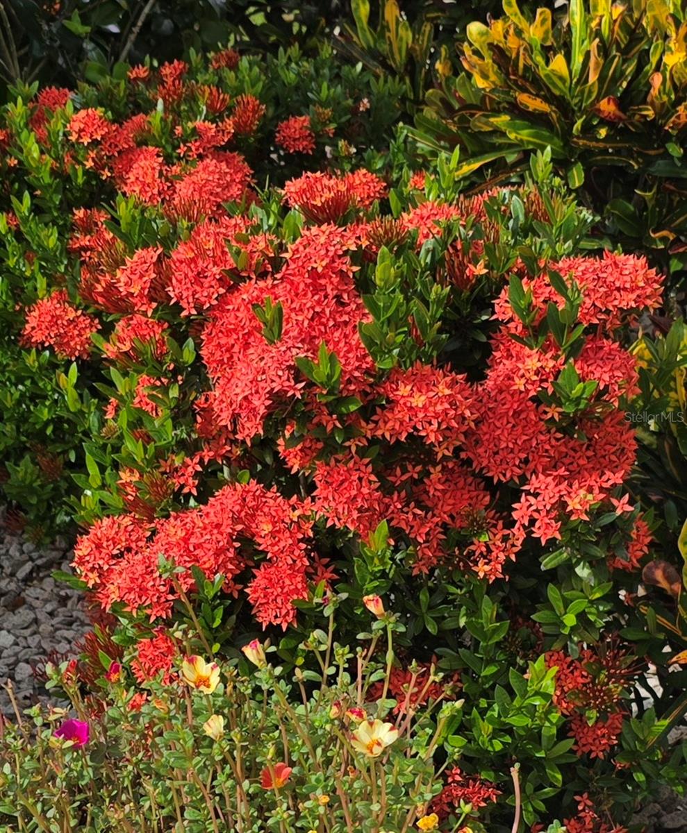 VICTORIA OAKS PH C - Residential