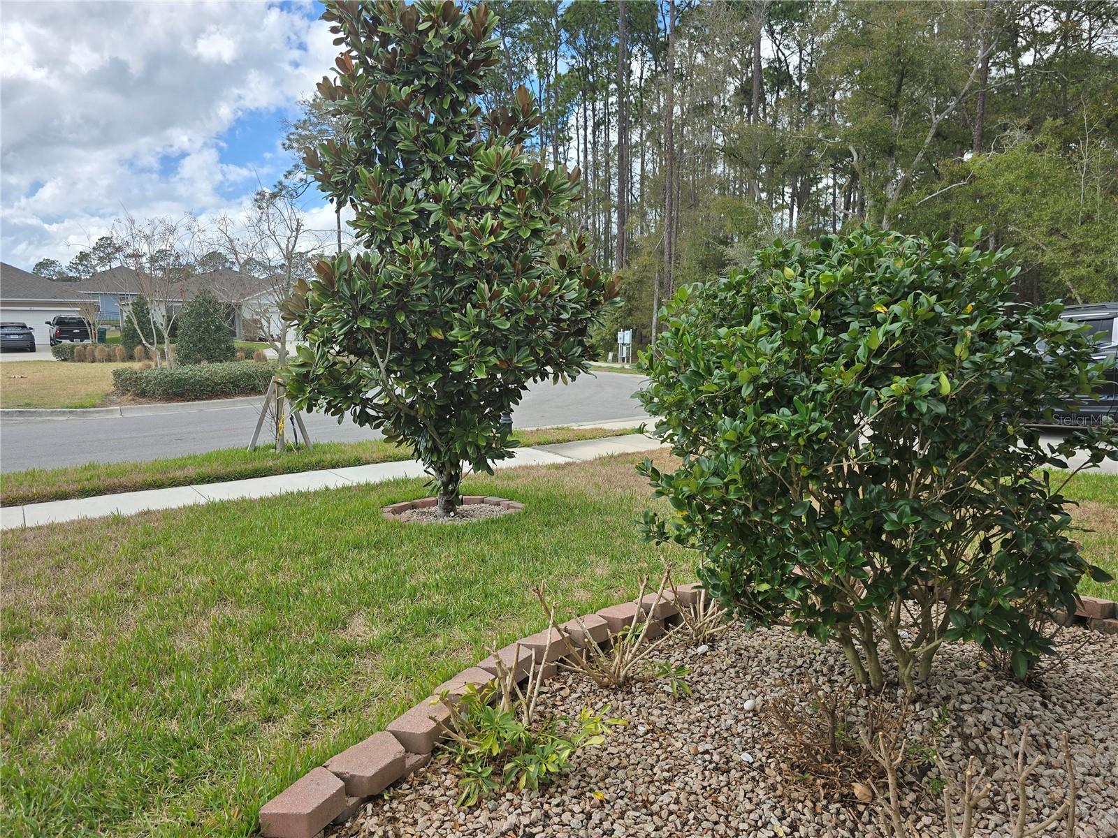 VICTORIA OAKS PH C - Residential