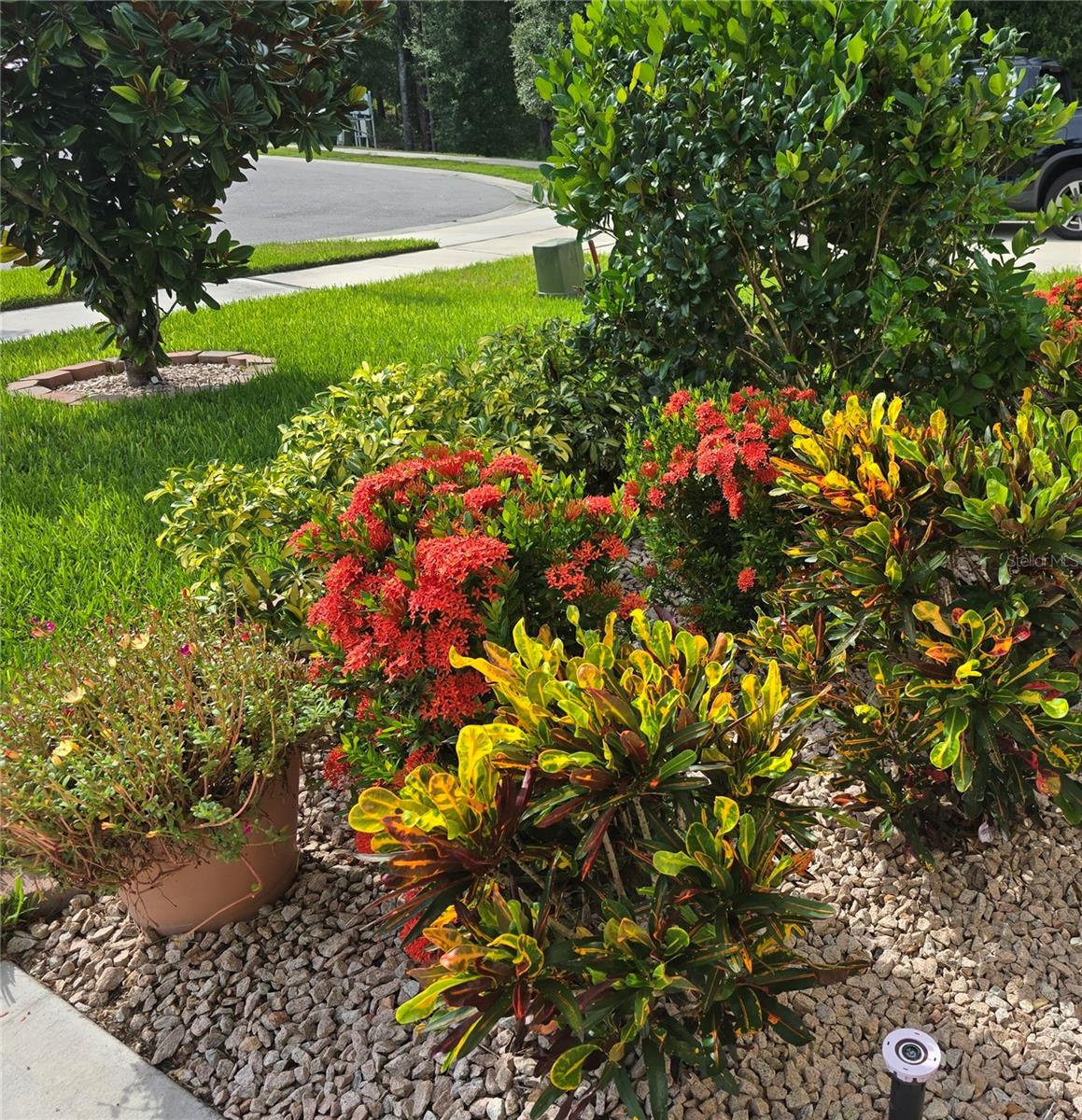 VICTORIA OAKS PH C - Residential