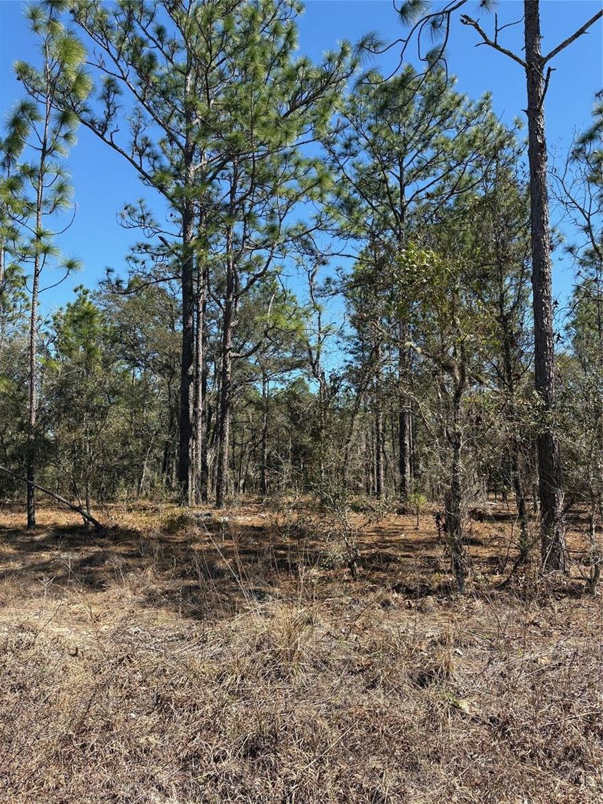 Peaceful and quiet area of Rainbow Lakes Estates-This property is ready to build or invest for future use.