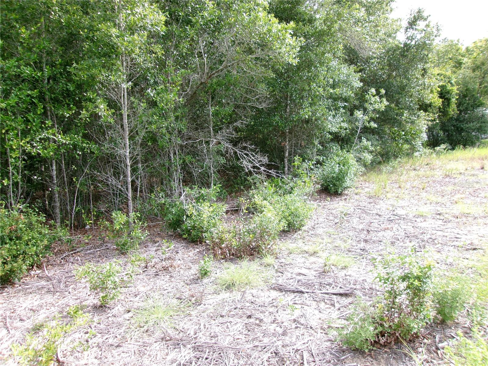 Lot 13 SW RAINBOW LAKES BOULEVARD