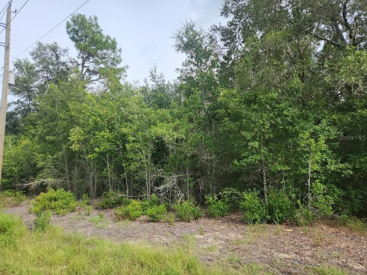 Lot 13 SW RAINBOW LAKES BOULEVARD