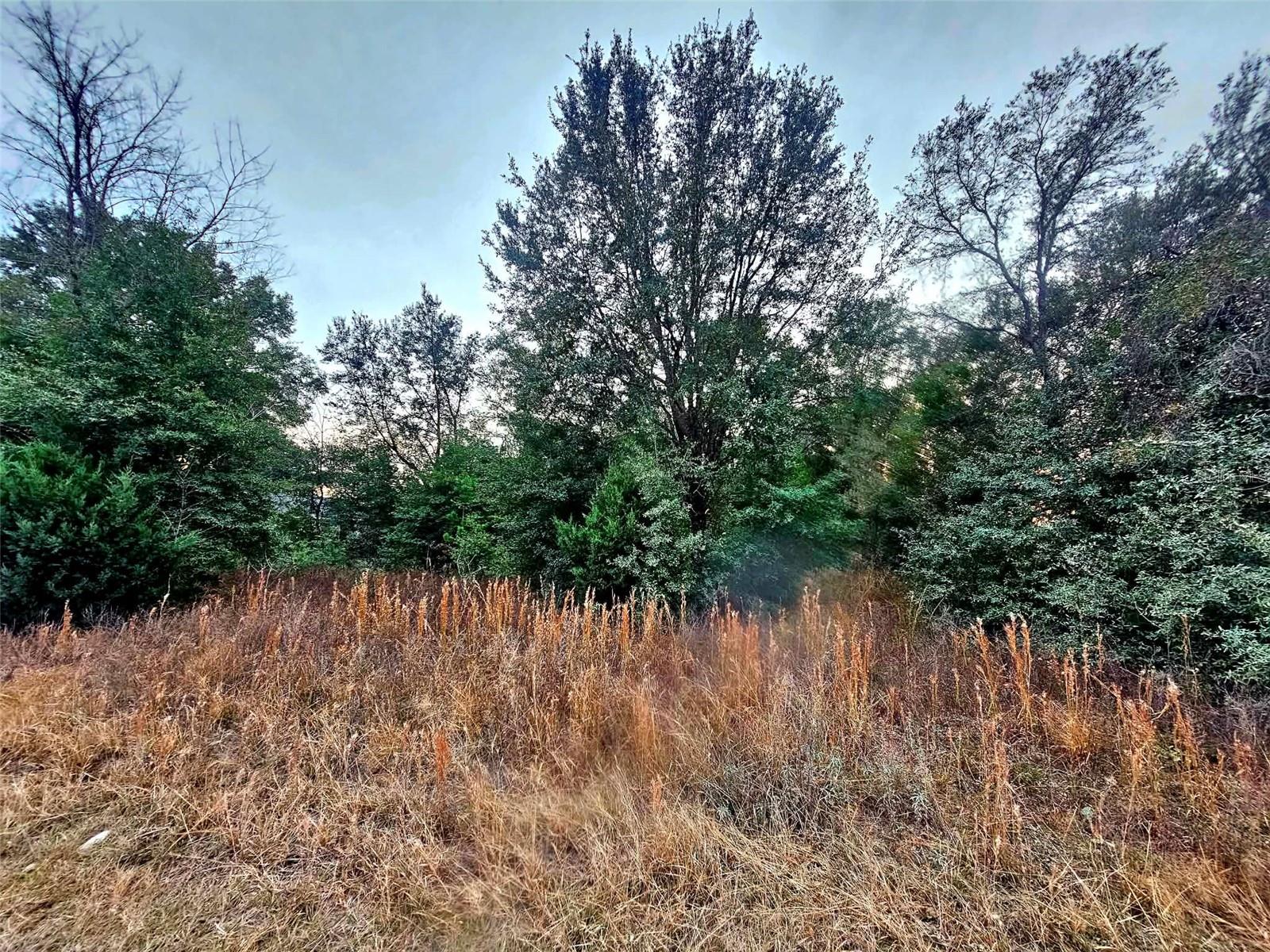 ROLLING RANCH ESTATE - Land