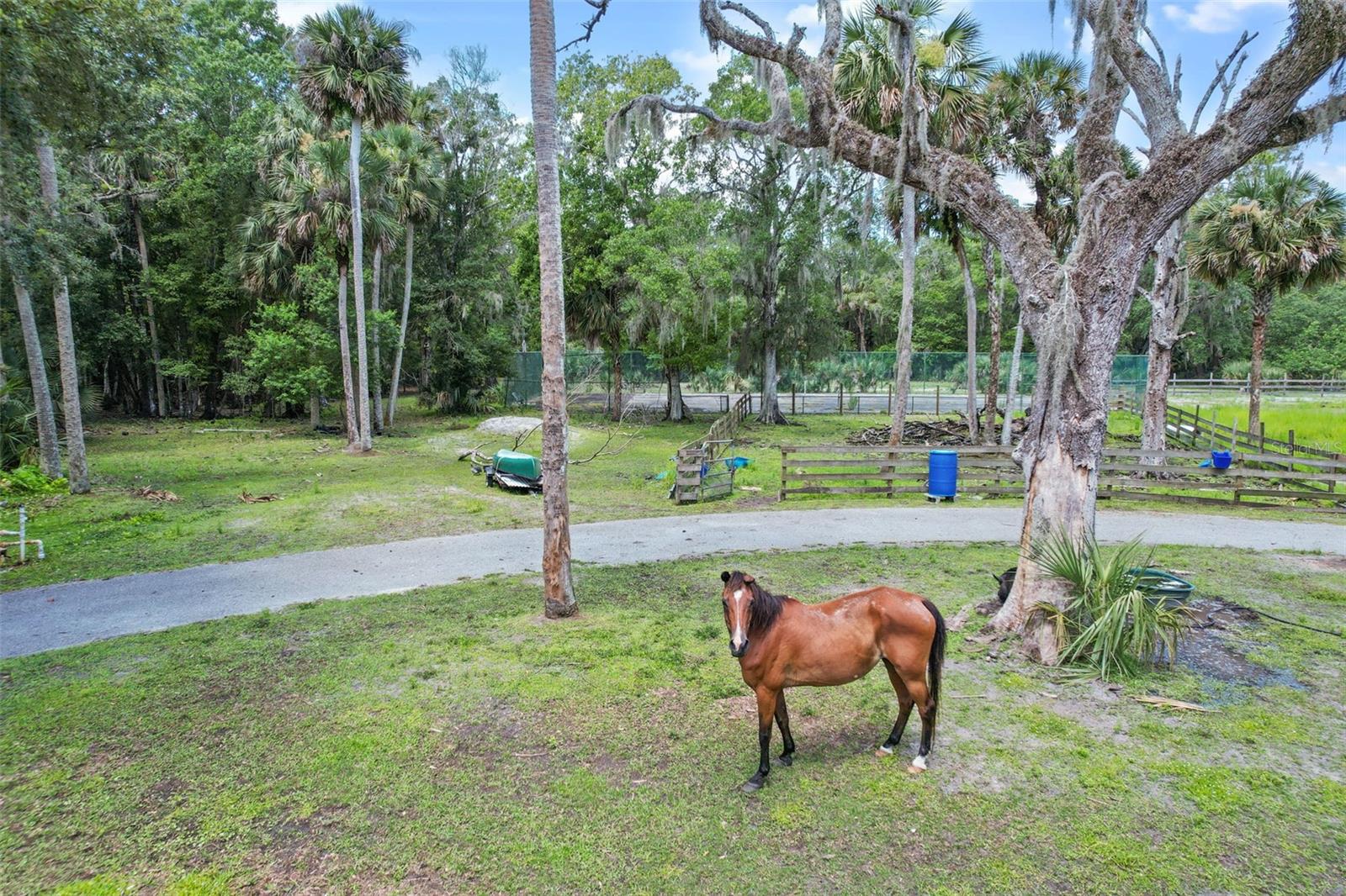 LAKE HARNEY ESTATES 5 ACRE DEV 256 PARCELS - Residential