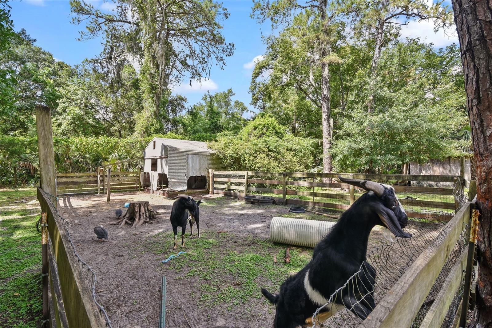 LAKE HARNEY ESTATES 5 ACRE DEV 256 PARCELS - Residential