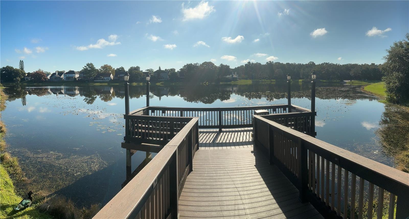 REGENCY PARK AT LAKE MARY A CONDO - Residential